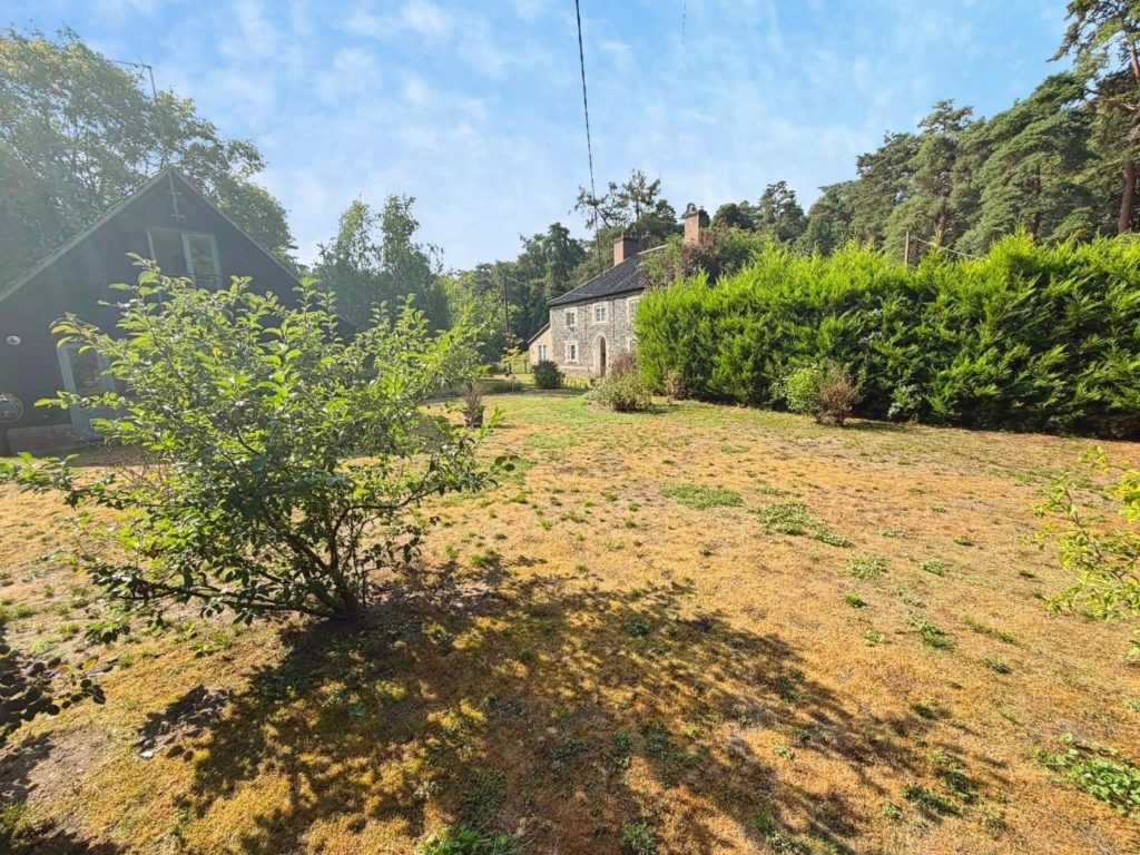 Lynford